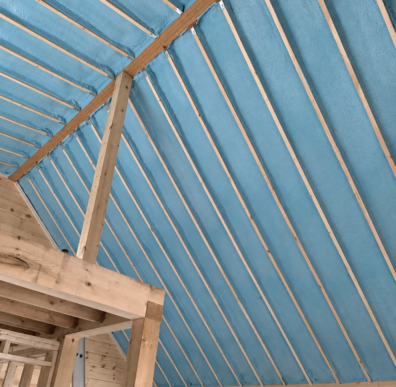 Blue spray foam between timber roof and wall framing on a Citadel jobsite